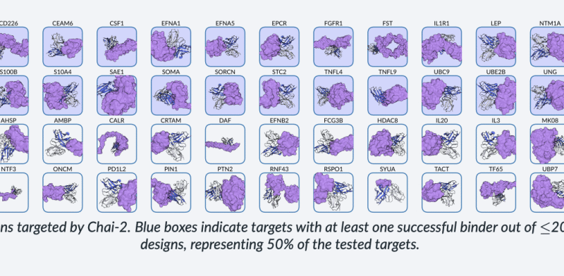 Chai Discovery Team Releases Chai-2: AI Model Achieves 16% Hit Rate in De Novo Antibody Design