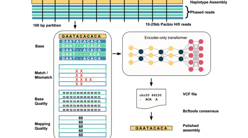 Google AI Releases DeepPolisher: A New Deep Learning Tool that Improves the Accuracy of Genome Assemblies by Precisely Correcting Base-Level Errors