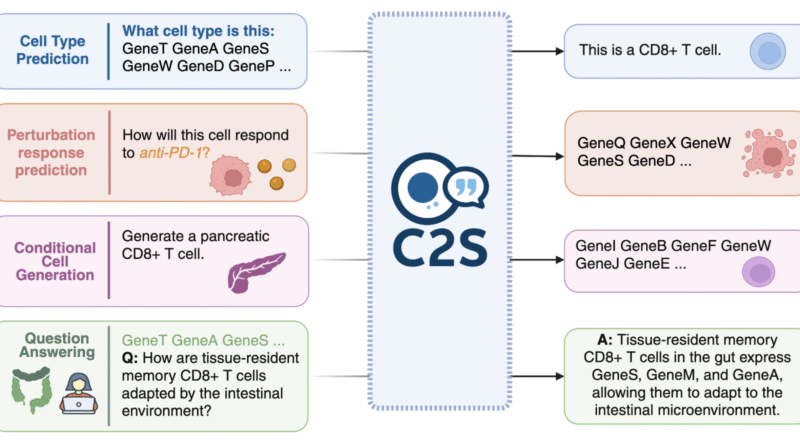 Google AI Releases C2S-Scale 27B Model that Translate Complex Single-Cell Gene Expression Data into ‘cell sentences’ that LLMs can Understand