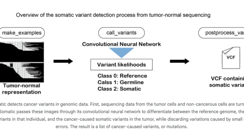 Google AI Research Releases DeepSomatic: A New AI Model that Identifies Cancer Cell Genetic Variants