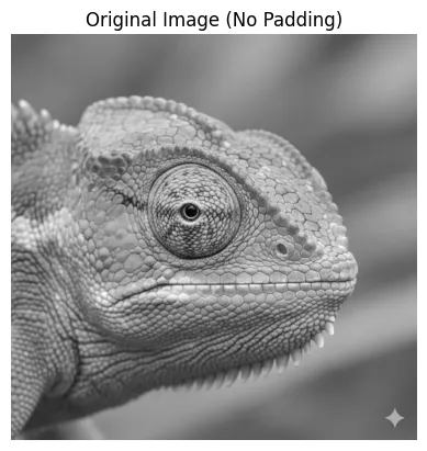 The Statistical Cost of Zero Padding in Convolutional Neural Networks (CNNs)