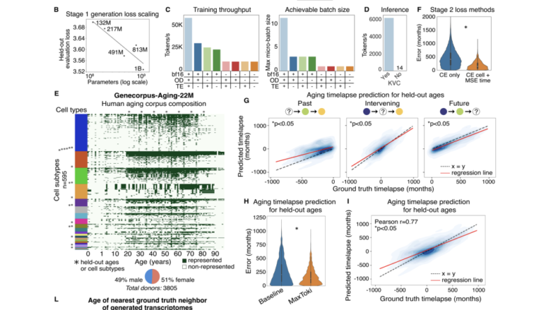 Meet MaxToki: The AI That Predicts How Your Cells Age — and What to Do About It